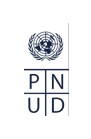 PNUD-Logo-White-Medium-test