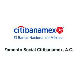 Logo Fomento Social Citibanamex