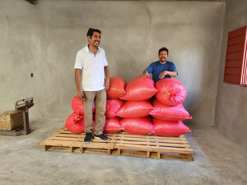 Comercialización Acopio_de_Cacao_Cooperativa
