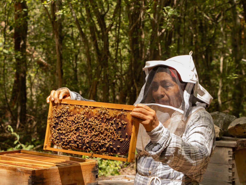 IMG_4684