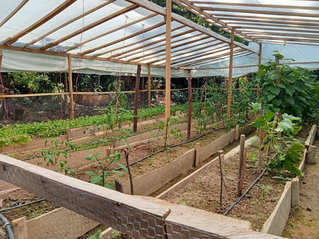 2025_Dermac_Horticultura