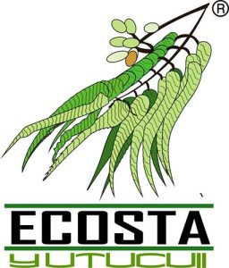 ecosta logo