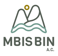 mbis bin logo
