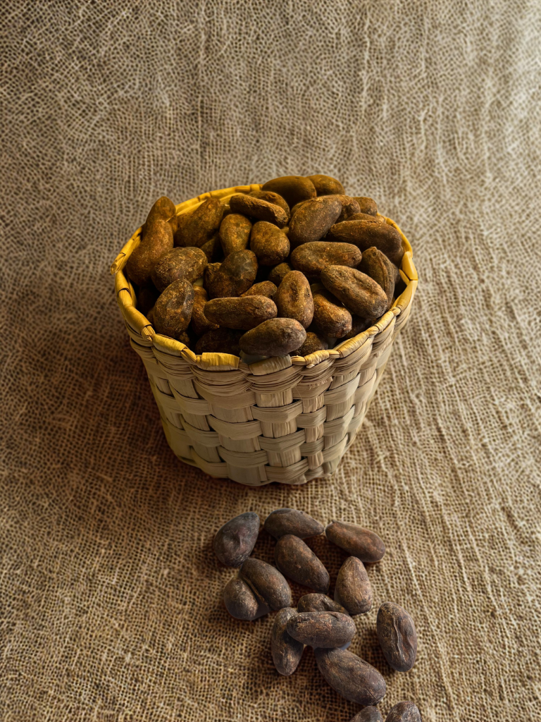 Copia de fermentado