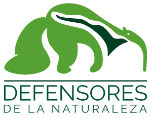 LOGO-FDN2023-02