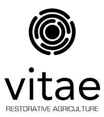 Logo Vitae