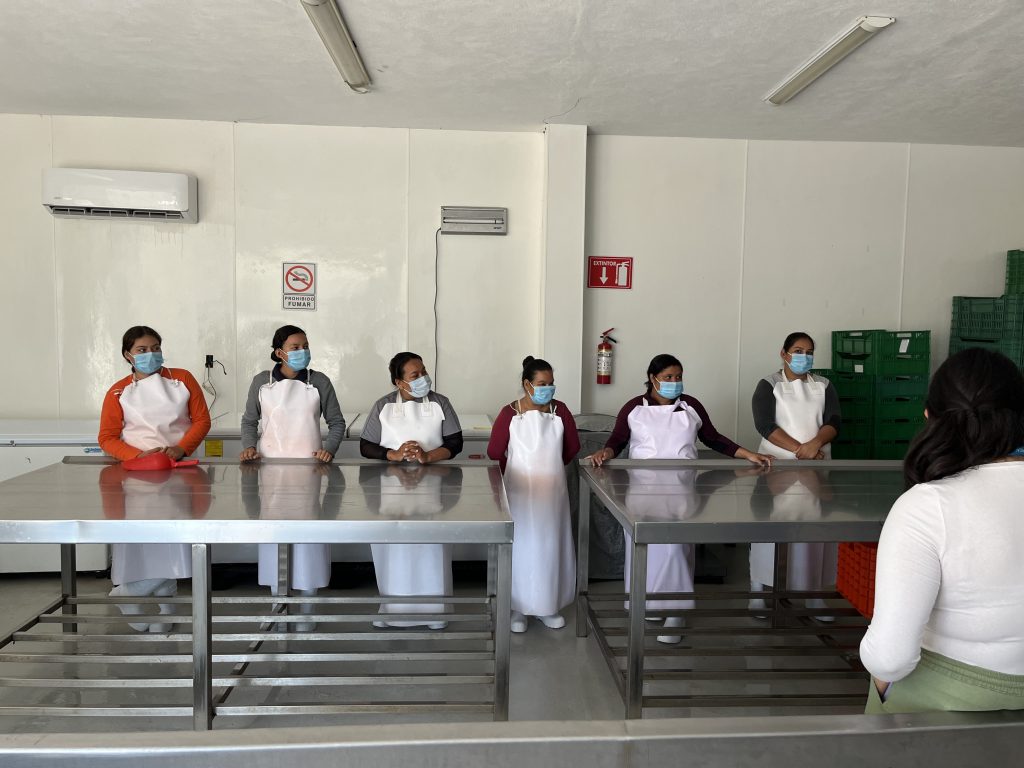 20231115_visita_Nayarit_SmartFish_1